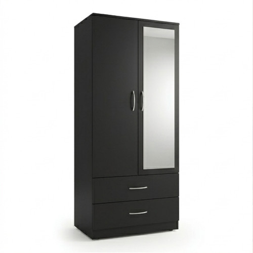 Door mirrored fully - mirrored,